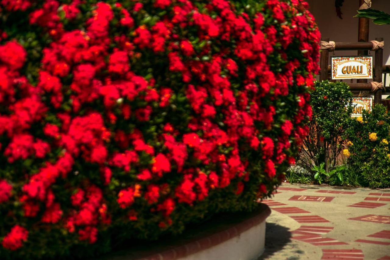 Hosteria Tonusco Campestre Santa Fe de Antioquia Exterior foto